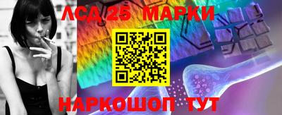 ешки Владимир