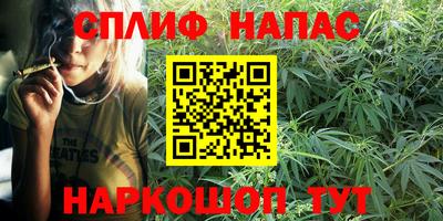 ешки Владимир